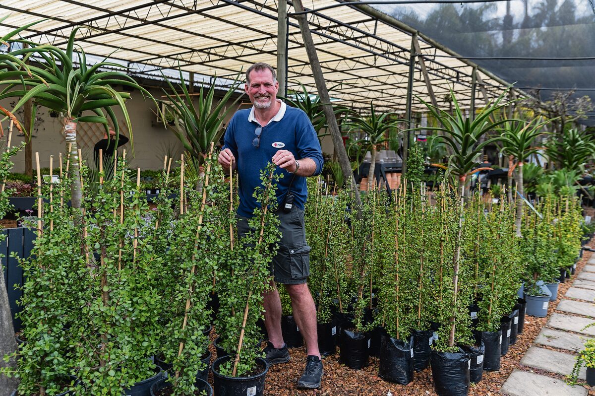 Peter van Niekerk, CEO and co-owner of Cape Garden Centre, encourages residents to consider water-wise plants such as Spekboom when planning their gardens.