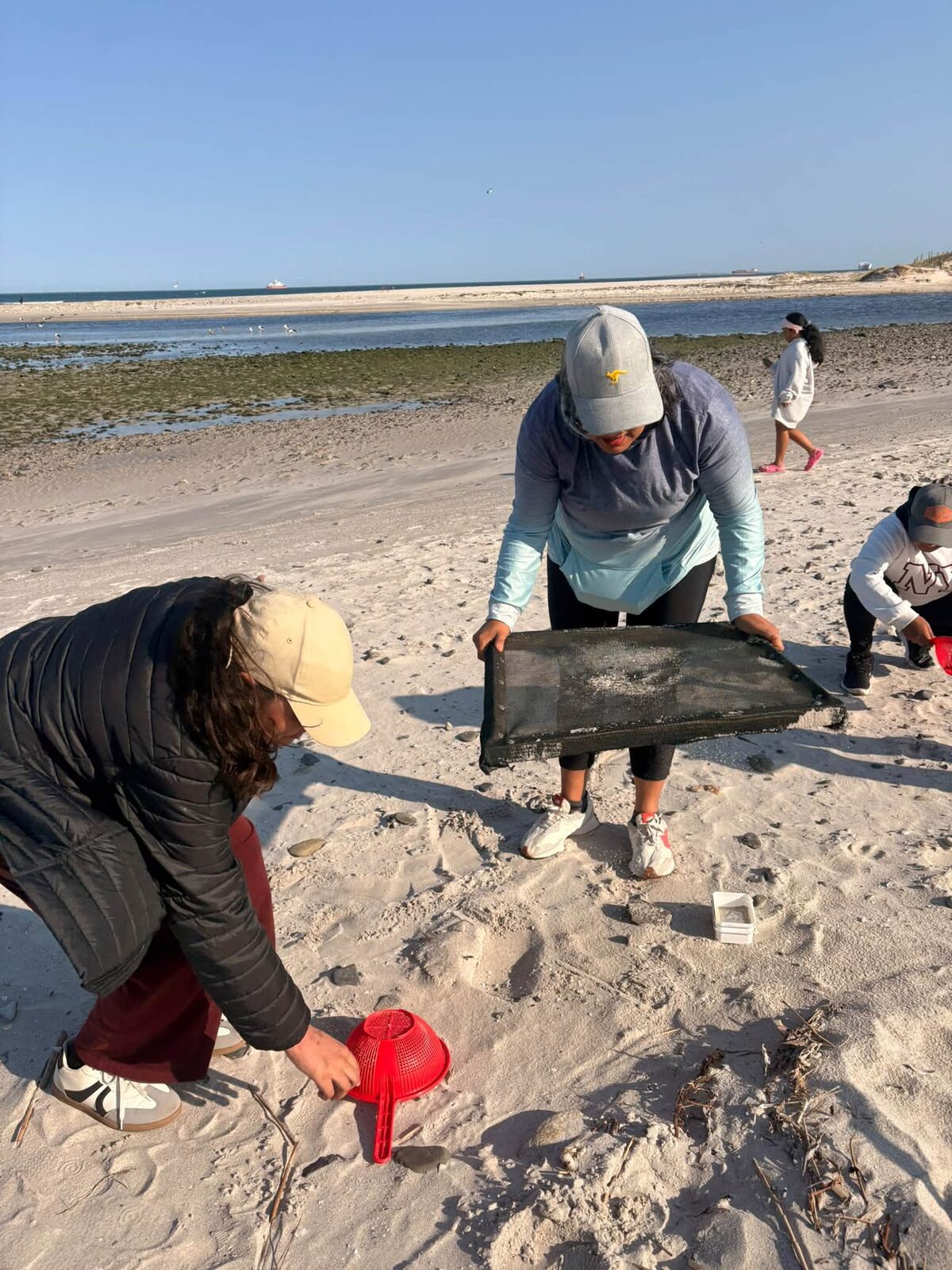 Volunteers sift through the sand