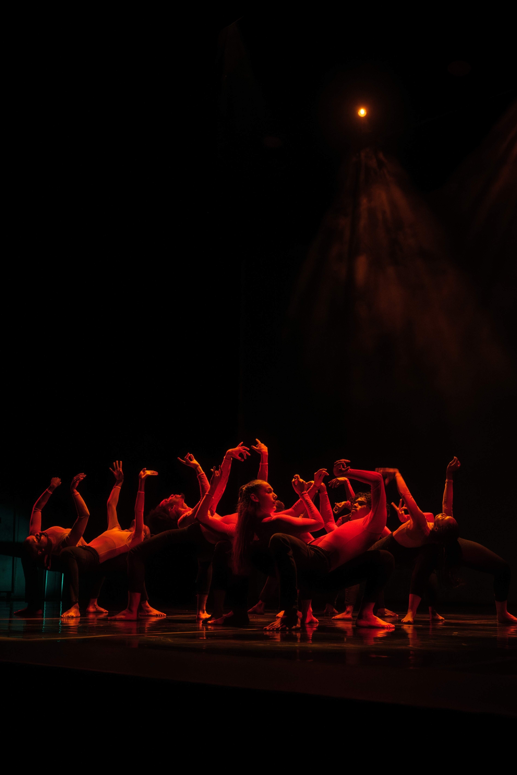 Vivaldi in Dance