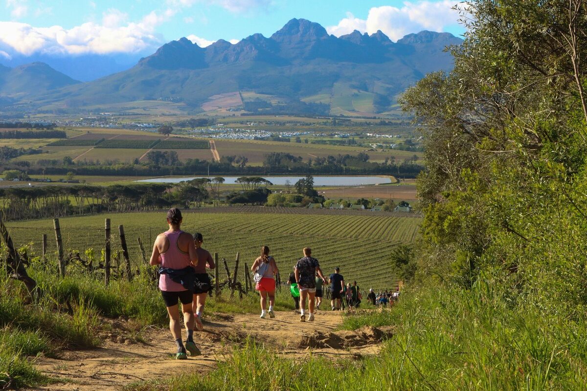 Trail run at Neethlingshof