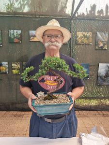Cape Town born artist celebrates 80th birthday with bonsai exhibition