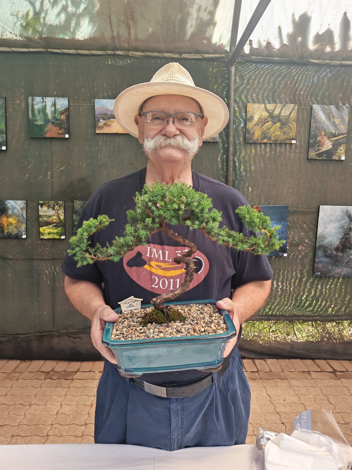 Cape Town born artist celebrates 80th birthday with bonsai exhibition