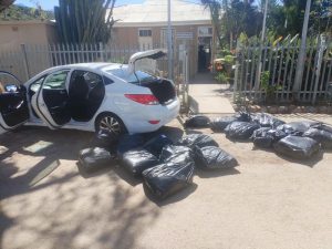 Police net R720k dagga haul, and Mandrax stash in Western Cape raids