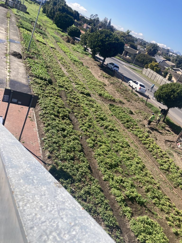 The landmark garden at Brackenfell train station