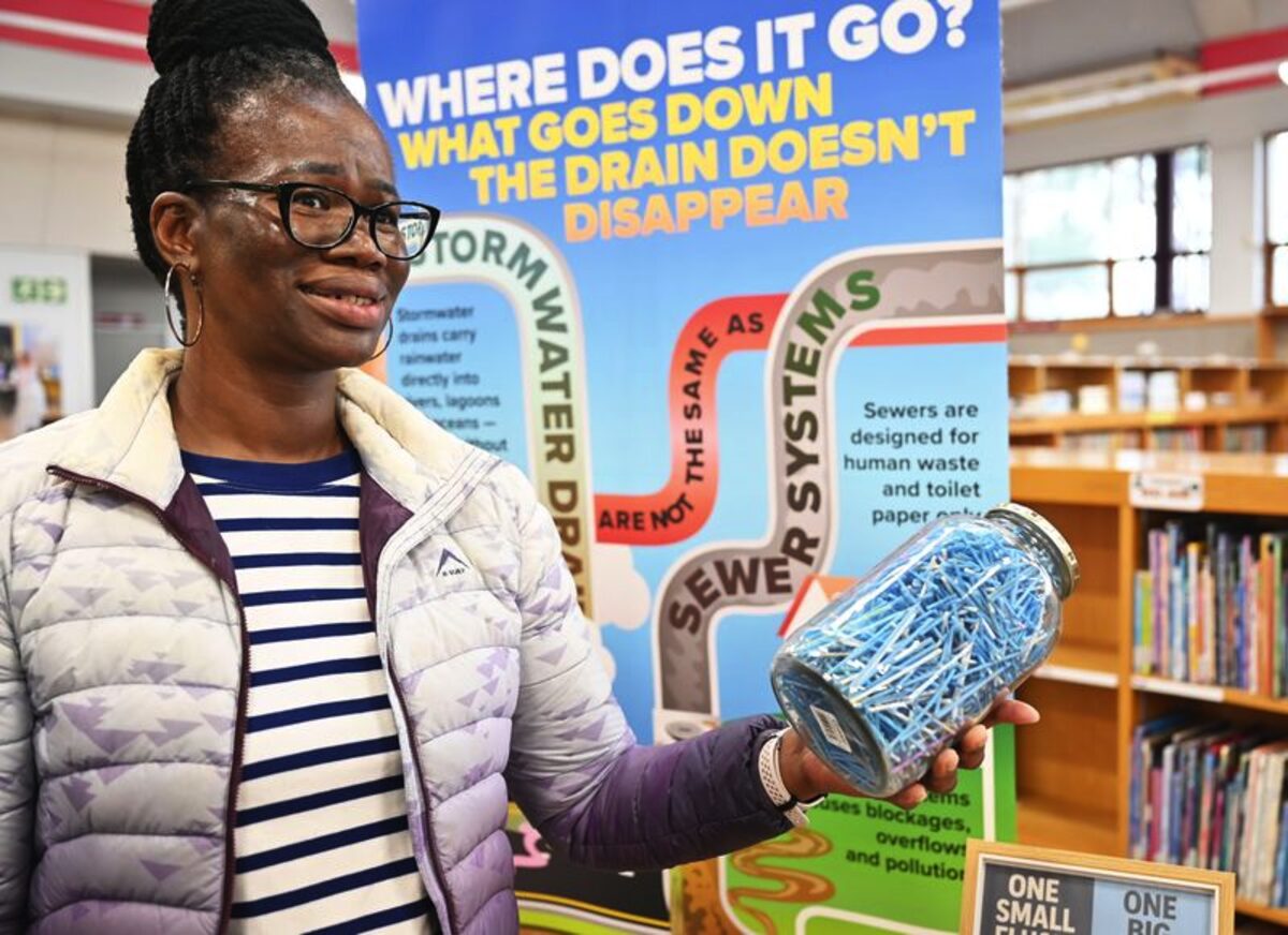 Edgemead Library