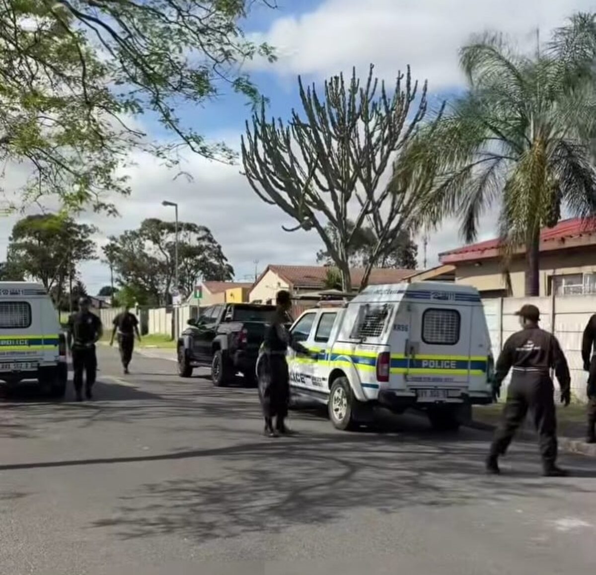 One suspect was arrested on-site during the joint operation, and further investigations are currently underway.