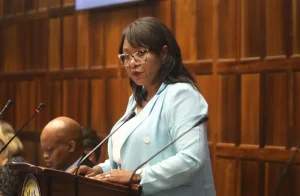 Wendy Kaizer-Philander calls for protection of social workers after Khayelitsha hijacking
