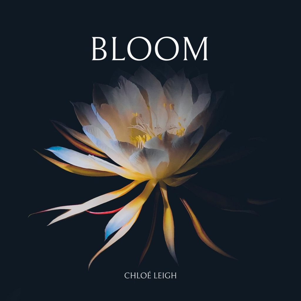 Bloom's album cover