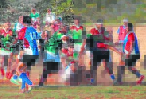 Gardens bulldozers United barbarians at patensie