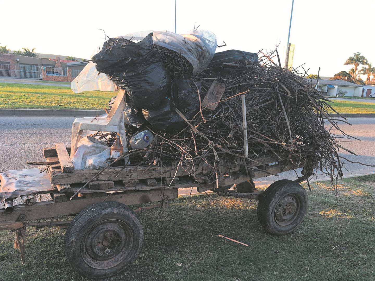 Donkey carts operated illegally