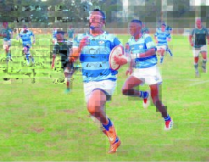Progress unbeaten rugby champion of 2019