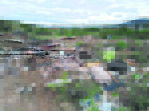 Waste rangers combat illegal dumping