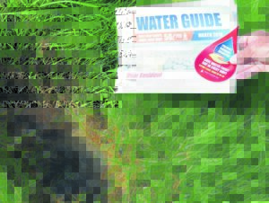 Water leaks – not taken seriously