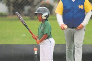 Bofbal aan die groei in die Nelson Mandelabaai