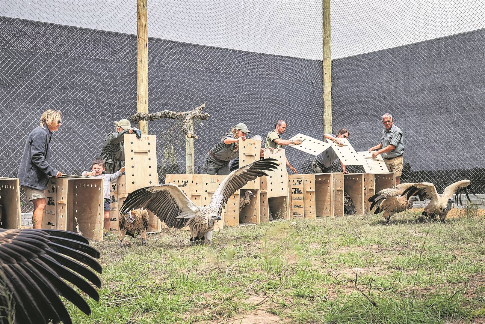 Shamwari Private Game Reserve. 