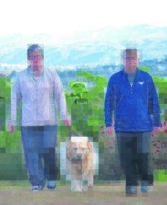 Honde kan saamstap by Winterfees pretloop
