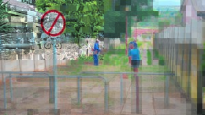 Skoonmaakaksie om Kariega se verval te stuit