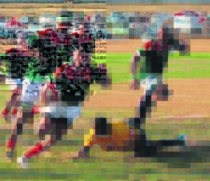 Gardens (61) vs NMU (43)
