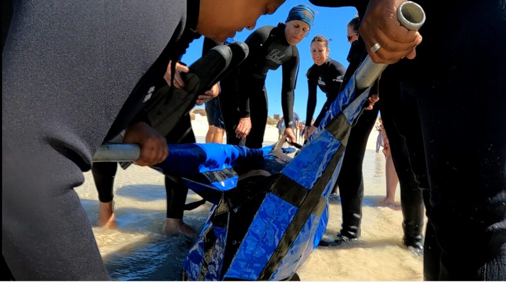 Dr Ilse Jenkinson, Two Oceans Aquarium Veterinarian, and curatorial staff ensure Gen, a female ragged tooth shark, safely returns to her wild home off the coast of Struisbaai.