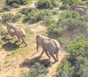 NGO launches in South Africa with record breaking initiatives