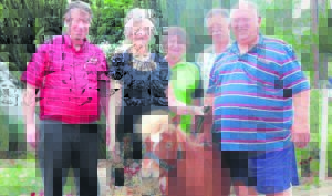 Ponie trippel liefde in ‘ou harte’ in