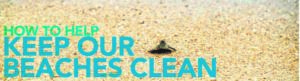 Public invited to beach clean-up