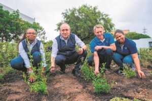 Rolling up sleeves for Biodiversity Day