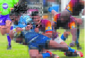 Gardens to play in Gold Cup rugby champs