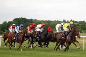 Charity drives, quality races on the March line-up