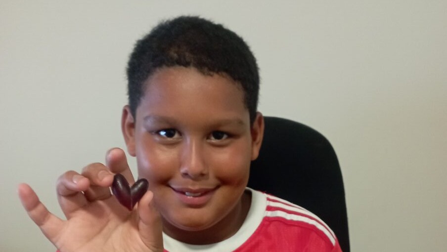 When Liam Nel found a heart-shaped grape, what he did next moved his mother.