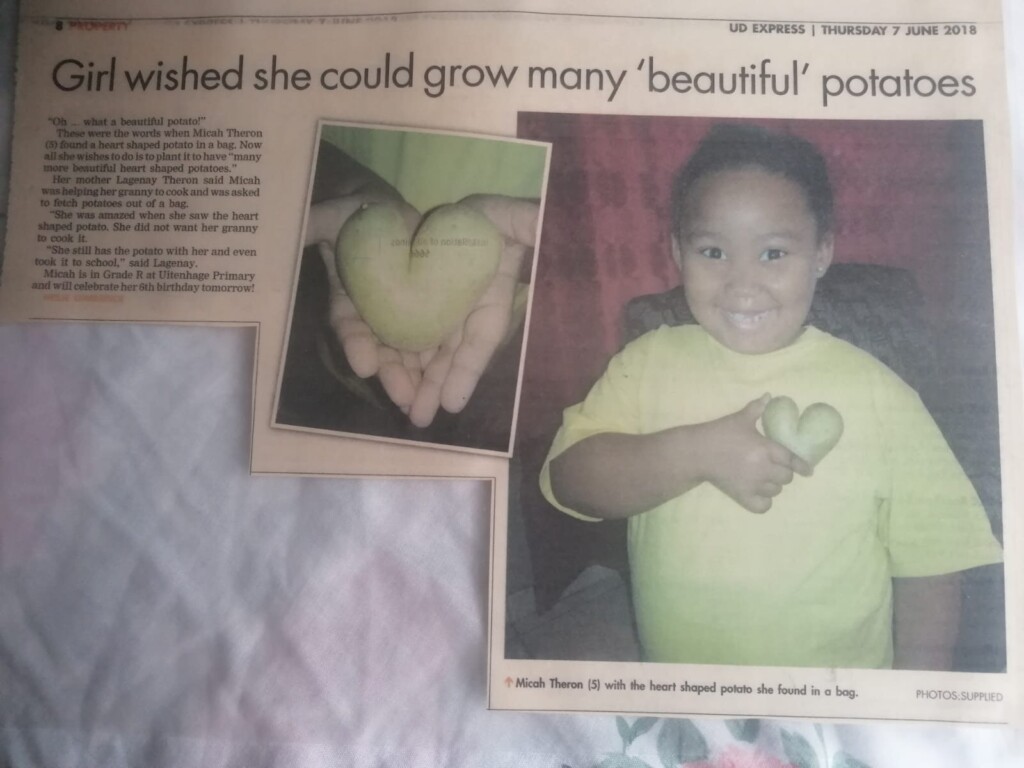 In 2018, Micah Theron, full of wonder, discovered a heart-shaped potato while helping her granny in the kitchen, unaware that years later, history would repeat itself. INSET: When Liam Nel found a heart-shaped grape, what he did next moved his mother.