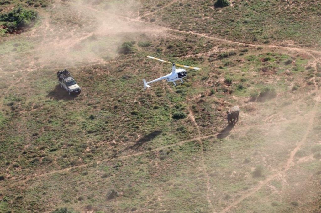 The Kabouga section, about 50km away by road from the Main Camp, offers a restored habitat where elephants can re-establish their ecological roles.
