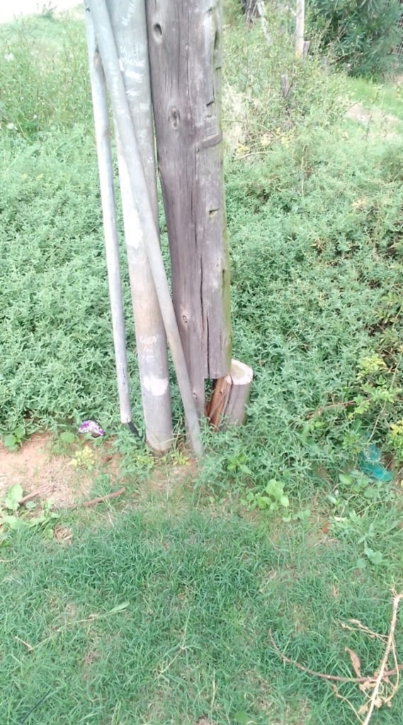 The residents complained that if this pole collapses, the entire neighbourhood will be out of electricity.