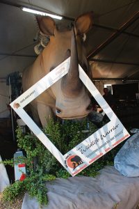 Experience a Walk on the Wildside at the SPAR Kirkwood Wildsfees