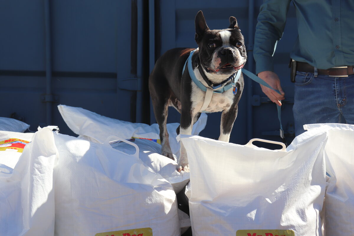 Wallace was lost, but now is found.