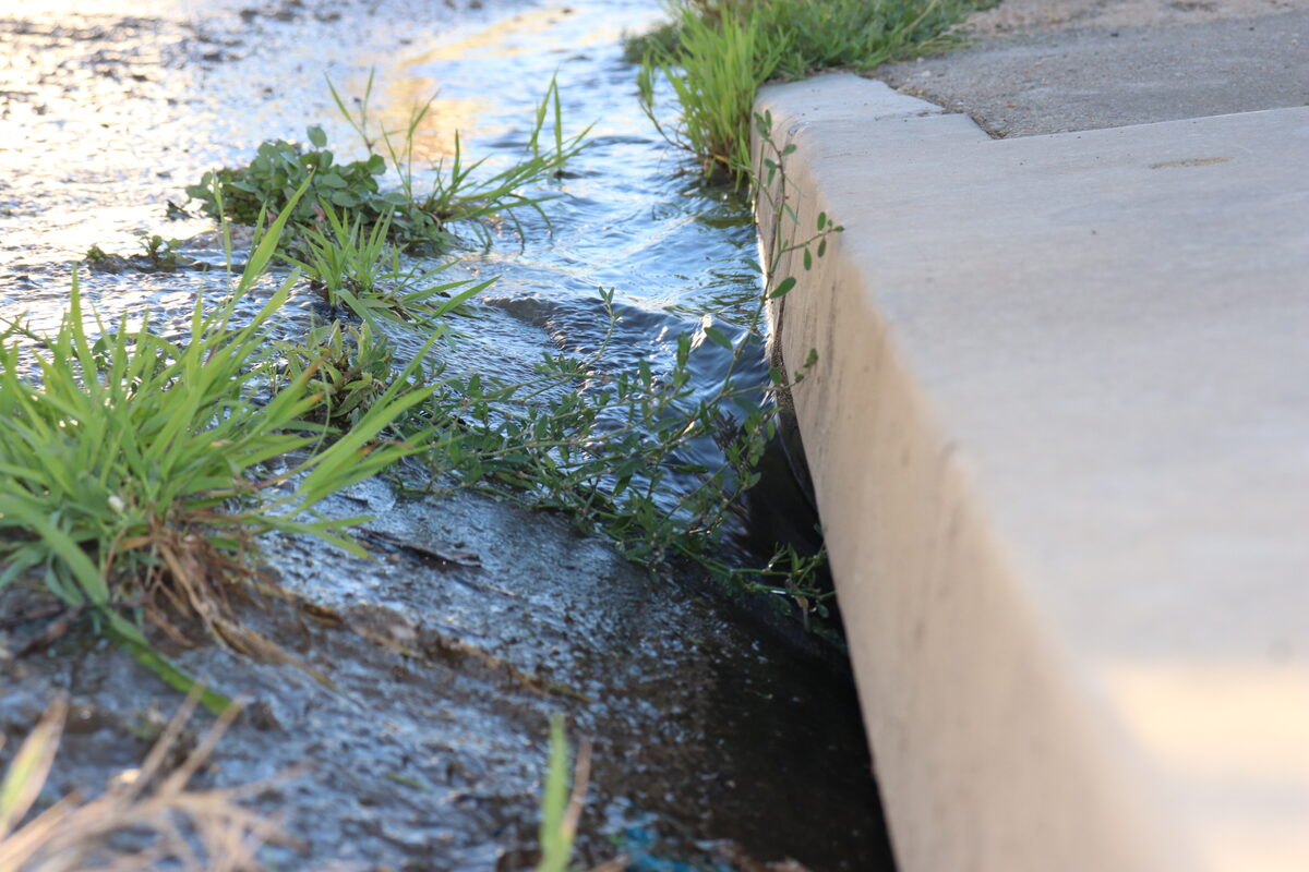 Potable water, allegedly from the Fairbridge Heights reservoir flowing down the drain.