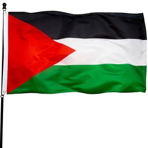 153 Palestinians allowed to disembark after 12-hour airport standoff in South Africa