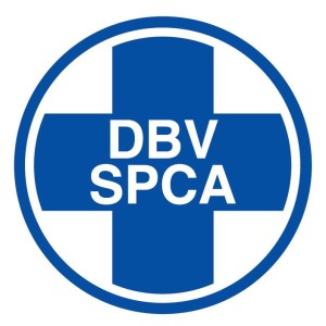 No animals will be put down because of space: SPCA update