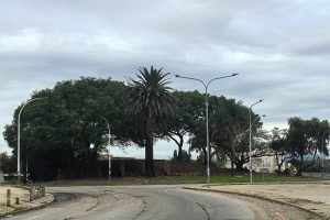 Kariega resident leads volunteer initiative