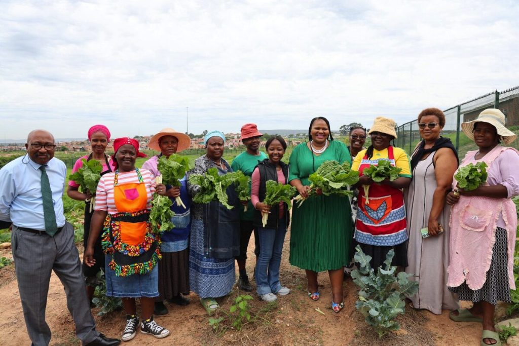 The Limekhaya Community Project at Limekhaya Secondary School.