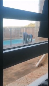 Muir College investigates alleged bullying after social media video surfaces