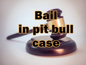 Owner of dogs that killed FS toddler facing charges