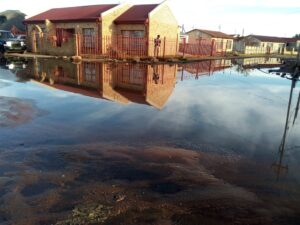 Raw sewage flows past St Helena Primary