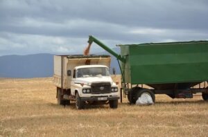 Optimisme heers oor graanoes