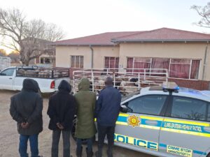 Welkom-polisie stop vermeende veediewe in hul spore