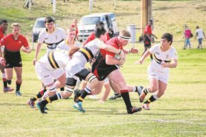 Trio kraai koning in Griffon-liga