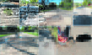 Van der Stel Avenue is dangerous