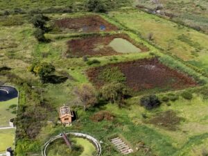 Sewage floods farms outside Hennenman