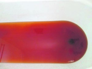 Verduidelikings oor vuil water weerspreek mekaar