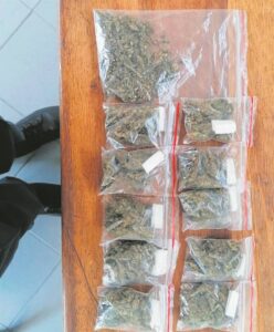 Police pull off drug bust